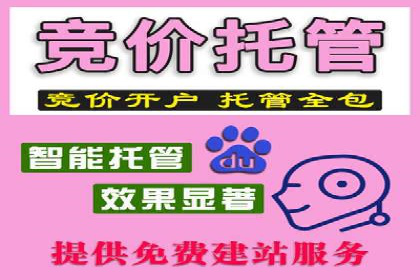 百度推广技巧：成功案例分享与解析